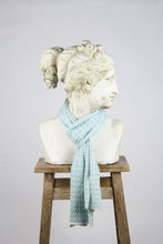 Load image into Gallery viewer, McKernan Caracas Cool State Scarf