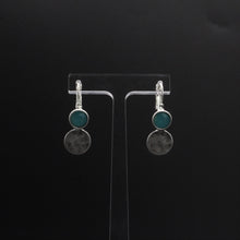 Load image into Gallery viewer, Envy Earrings