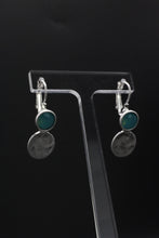 Load image into Gallery viewer, Envy Earrings