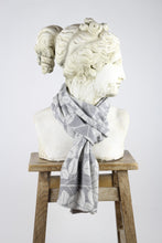 Load image into Gallery viewer, McKernan Myrtle Silk Seal Scarf
