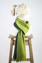 Load image into Gallery viewer, McKernan Cosmo Lemon Twist Scarf
