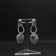 Load image into Gallery viewer, Envy Earrings
